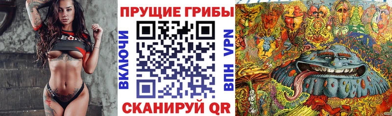 Галлюциногенные грибы GOLDEN TEACHER  Великие Луки 