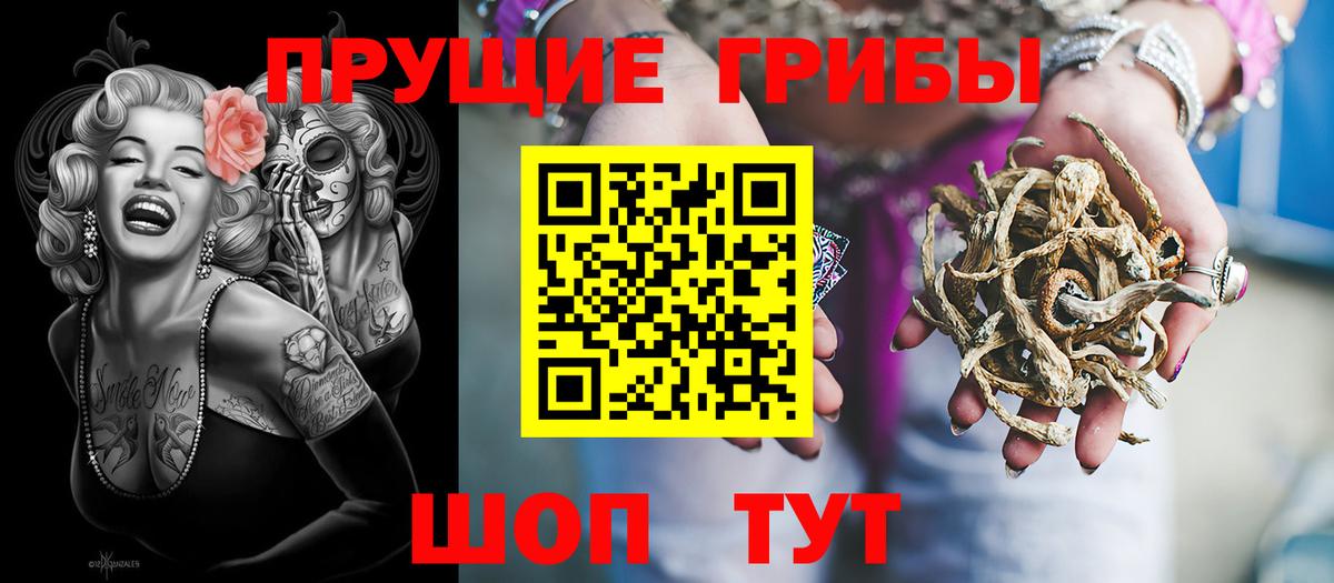 Псилоцибиновые грибы Psilocybine cubensis Великие Луки